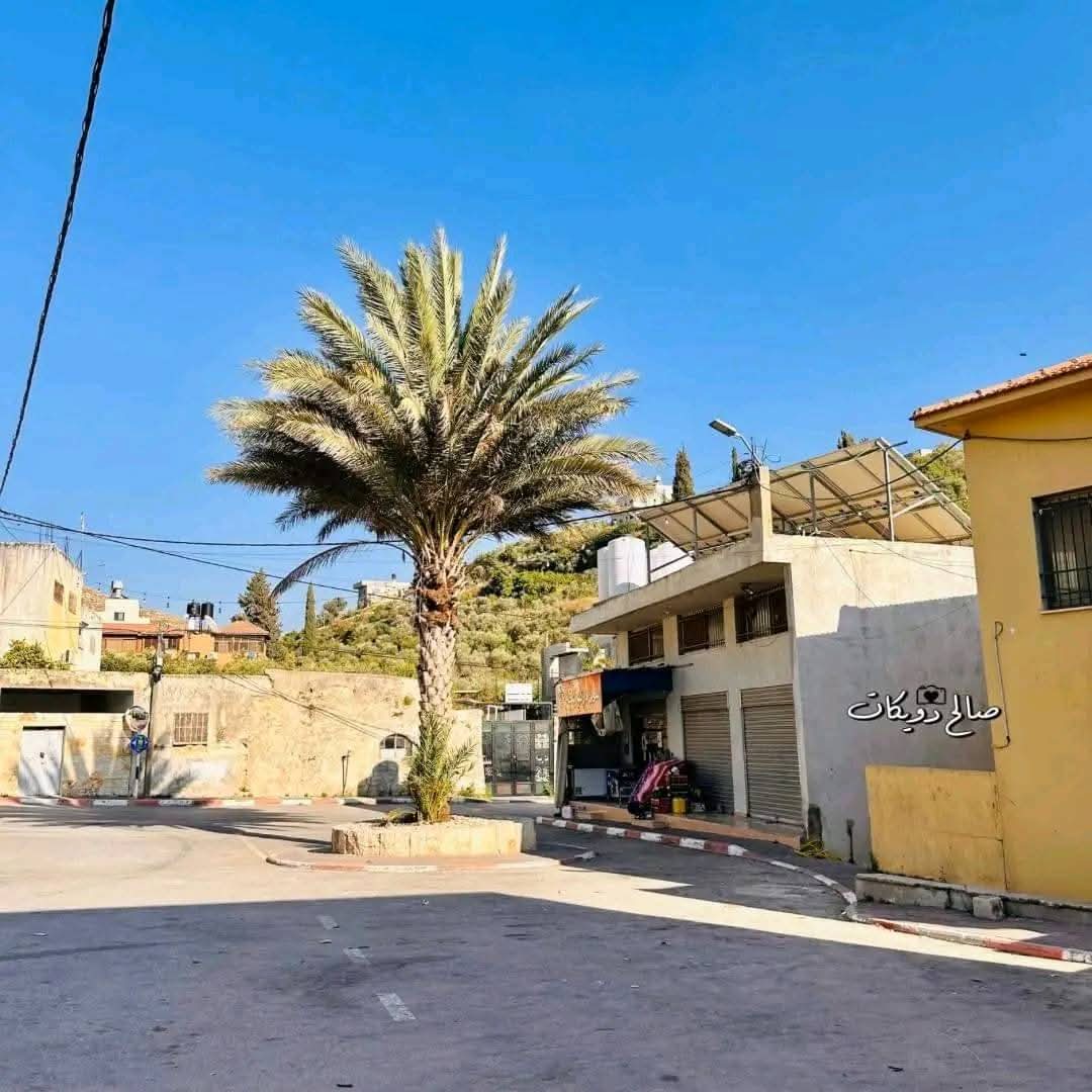 من قرية إجنسنيا شمال غرب نابلس   تصوير صالح دويكات